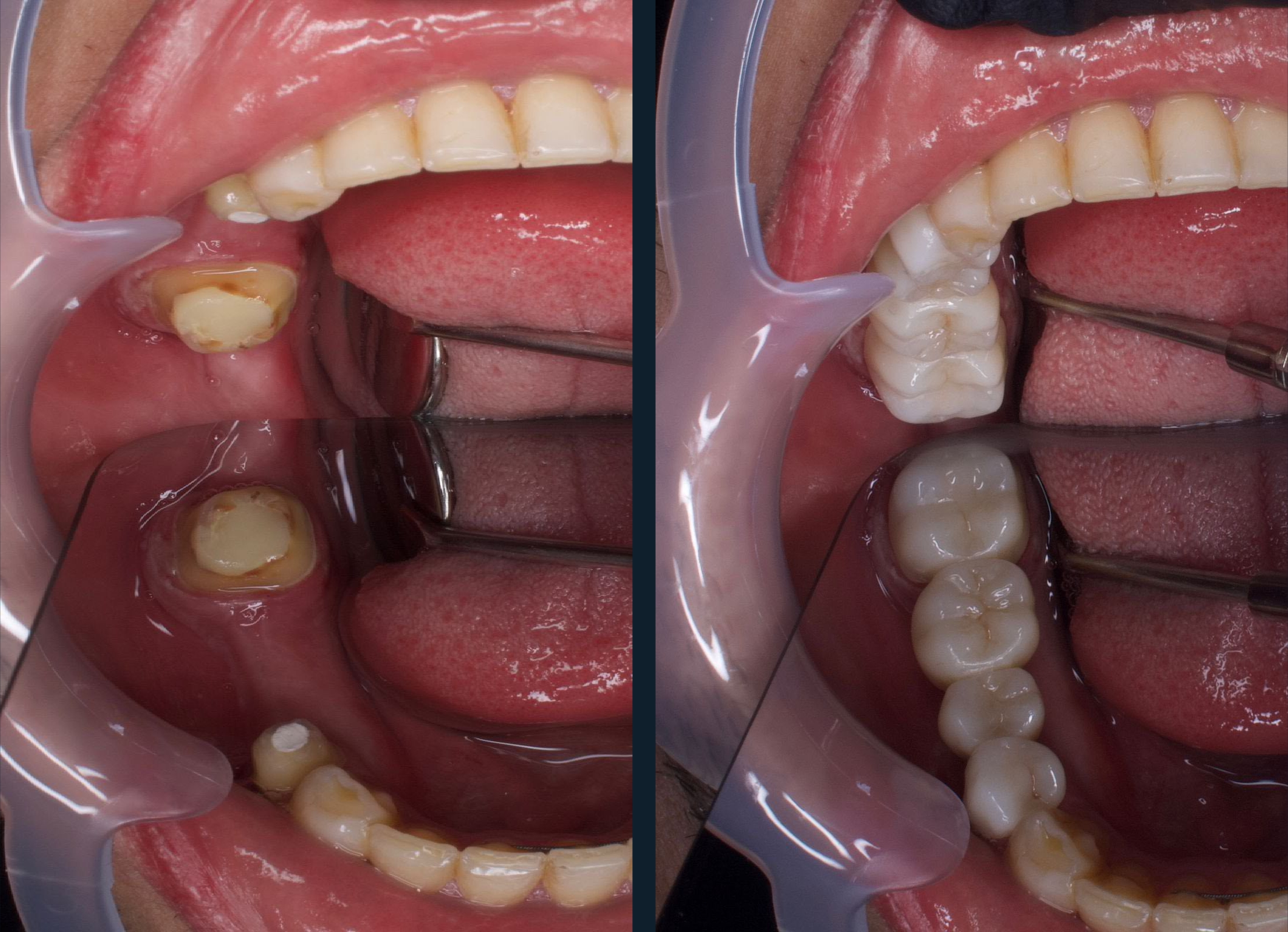 المعرض photo 5